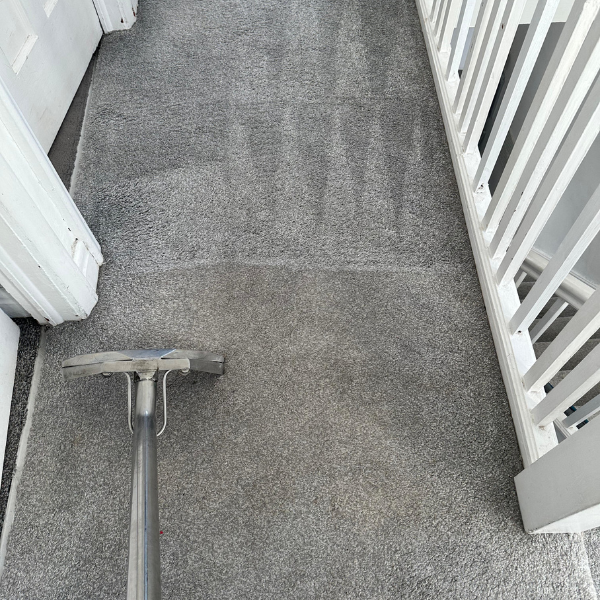 Grey carpet being professionally cleaned on a staircase landing